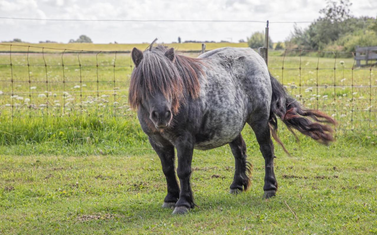 Eendrachtweg 4 De Cocksdorp  Eksteriør bilde